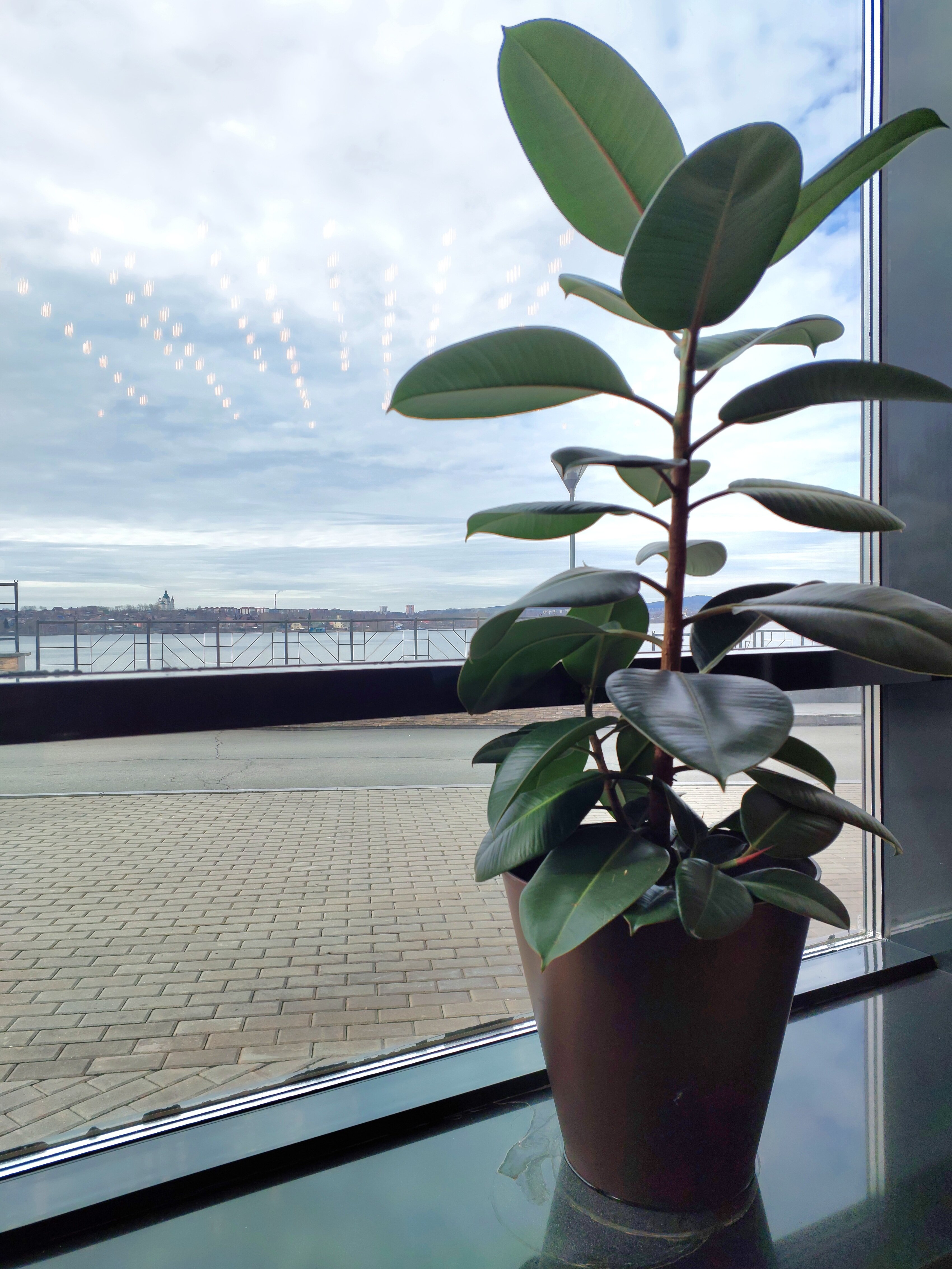 Фото Демидов Плаза