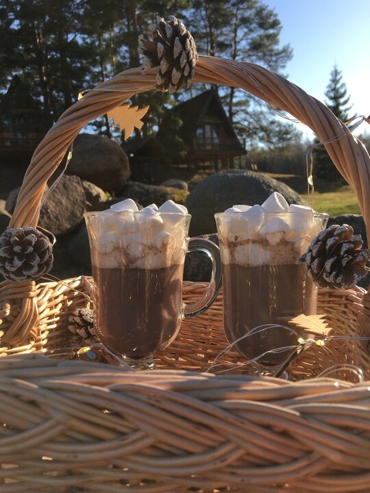 Фото Дом под соснами