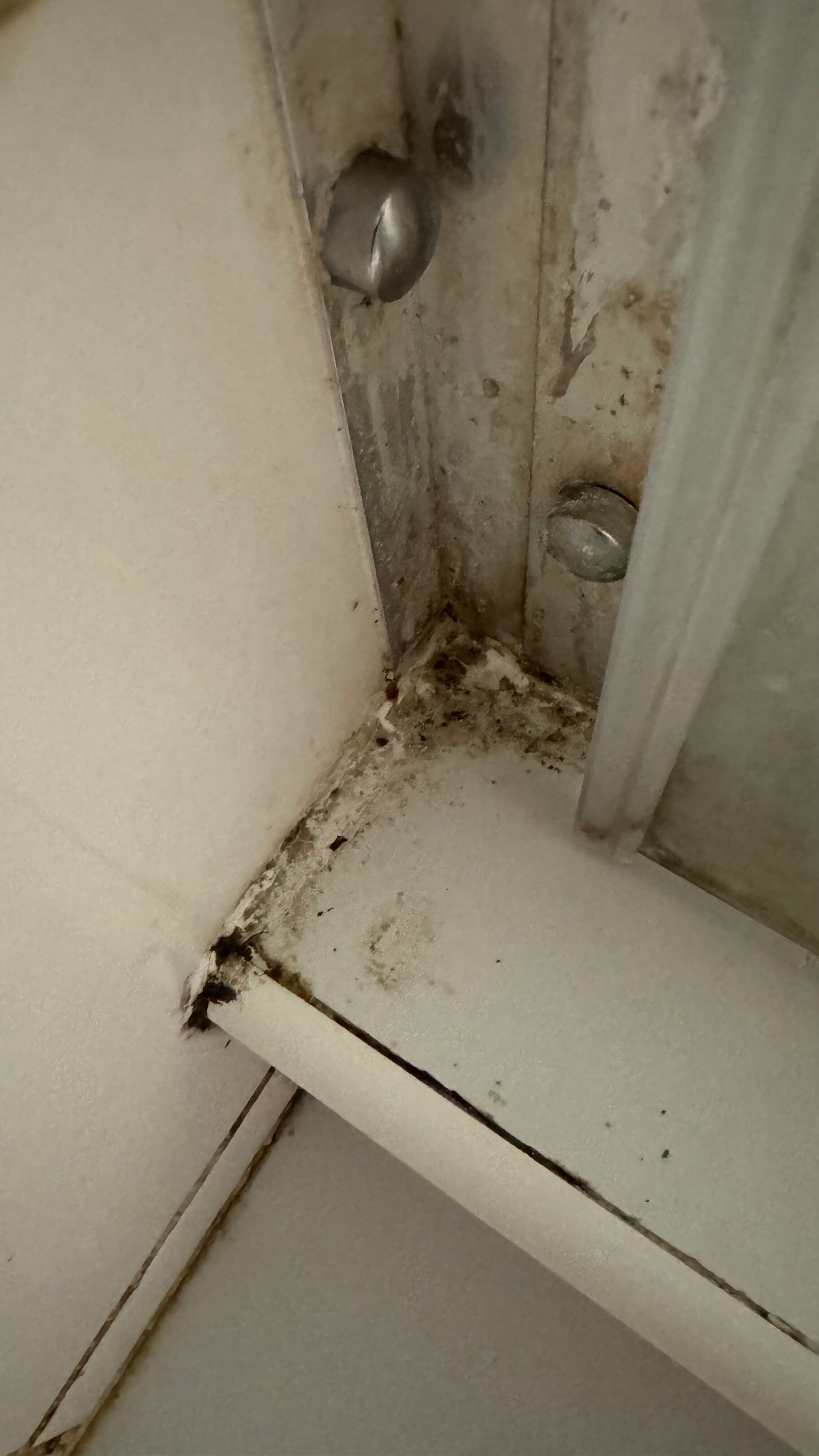 Фото Variant M50