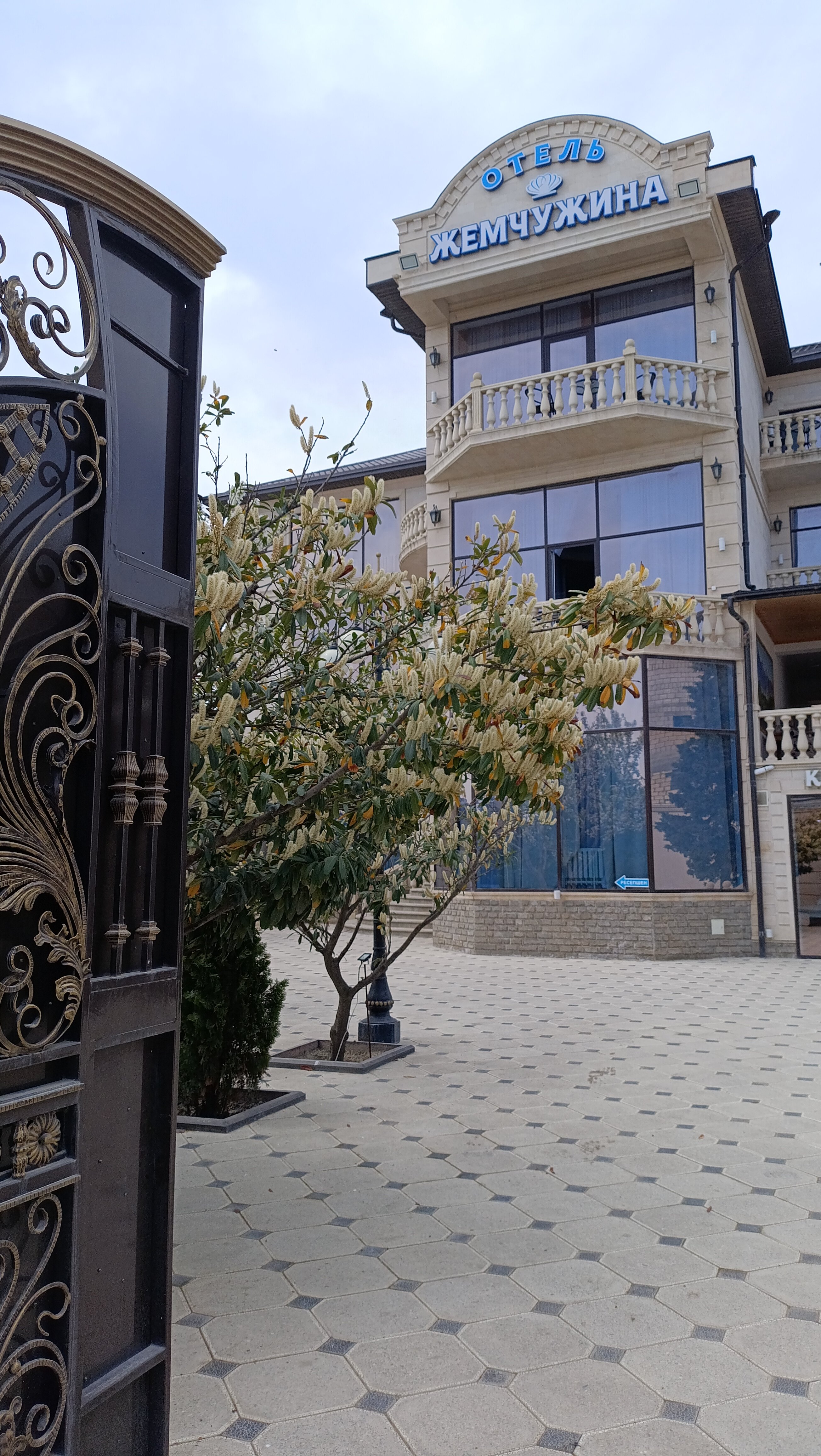 Фото Жемчужина