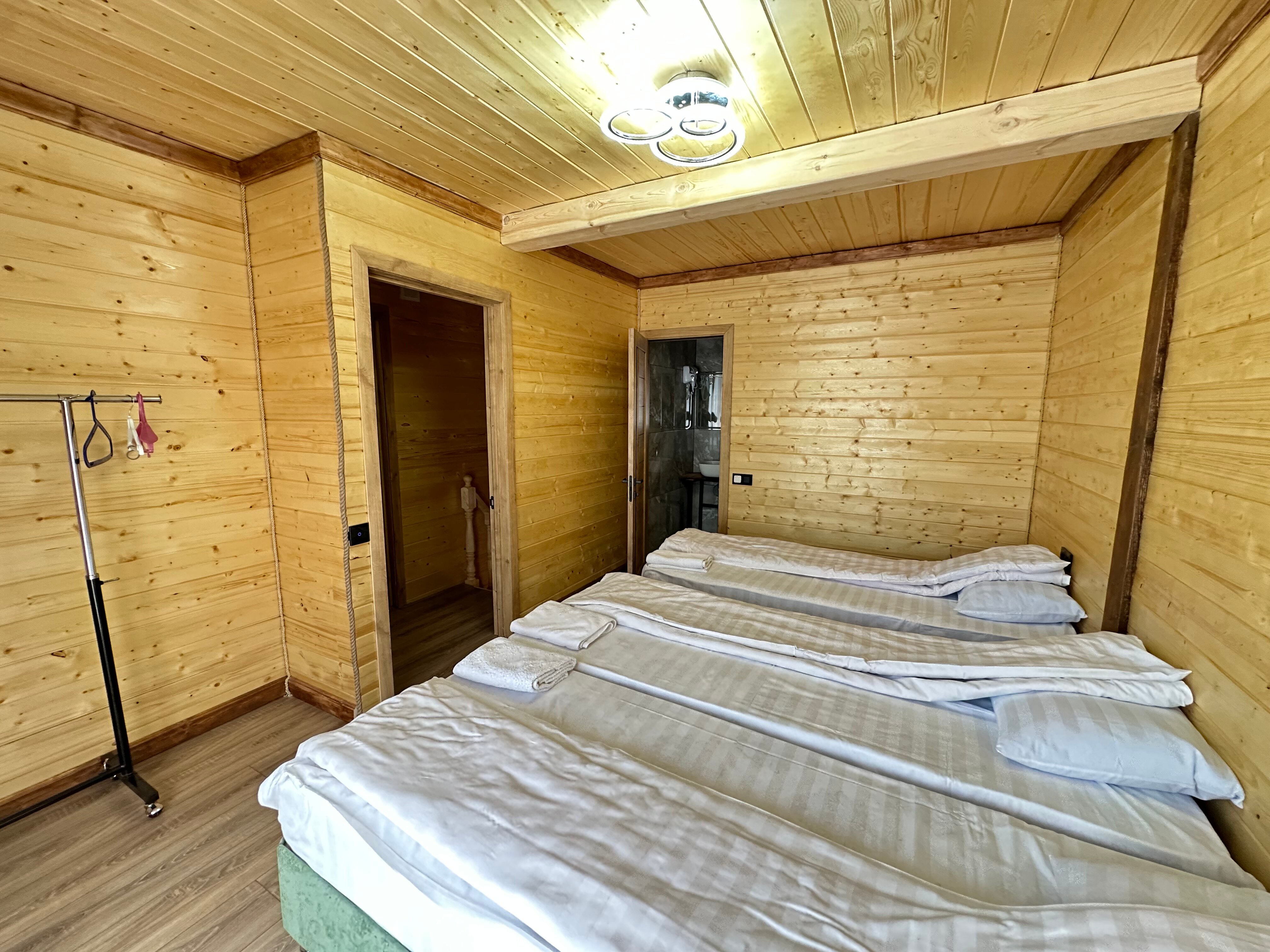 Фото 3 сосны