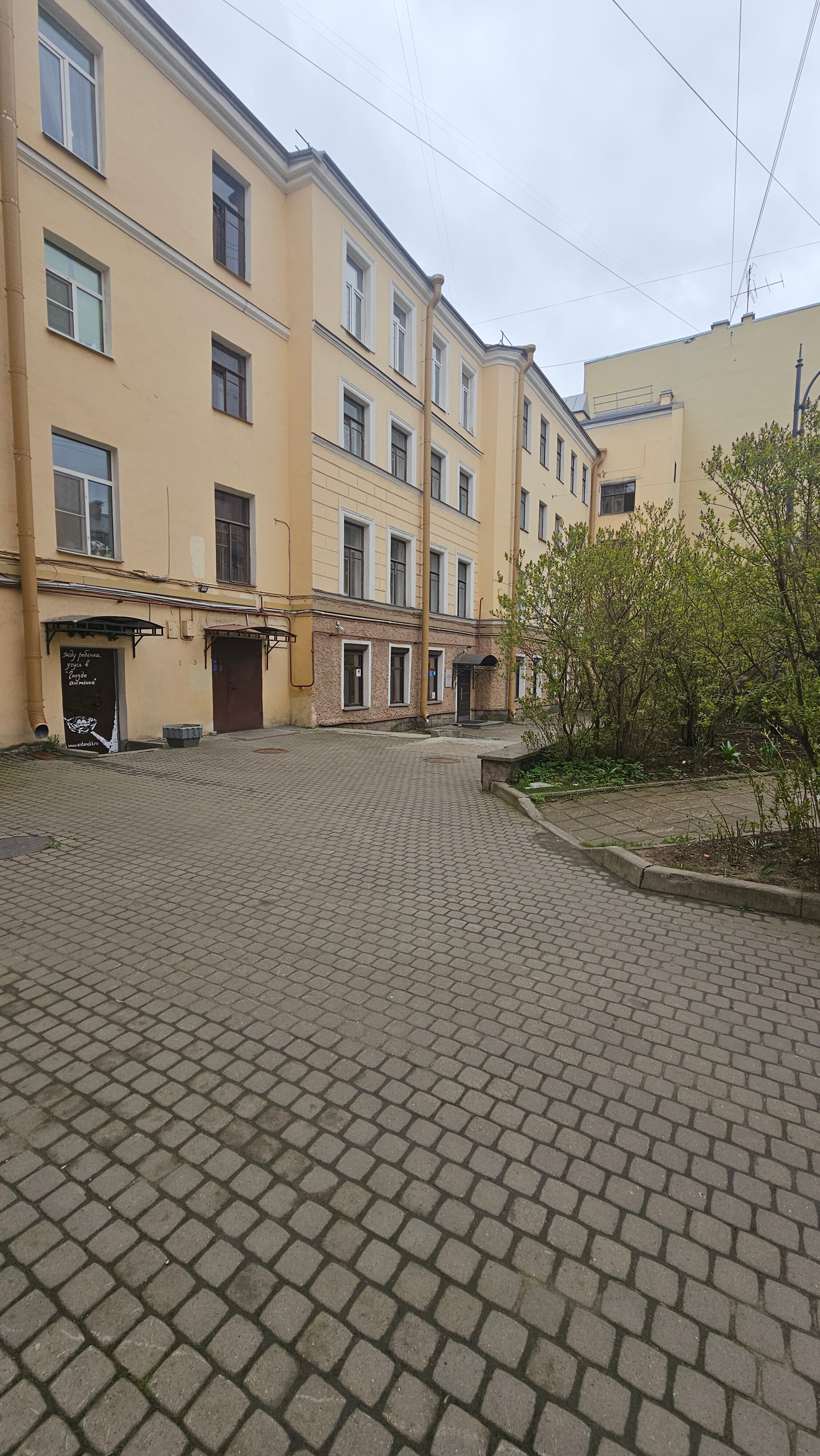 Фото Паллада