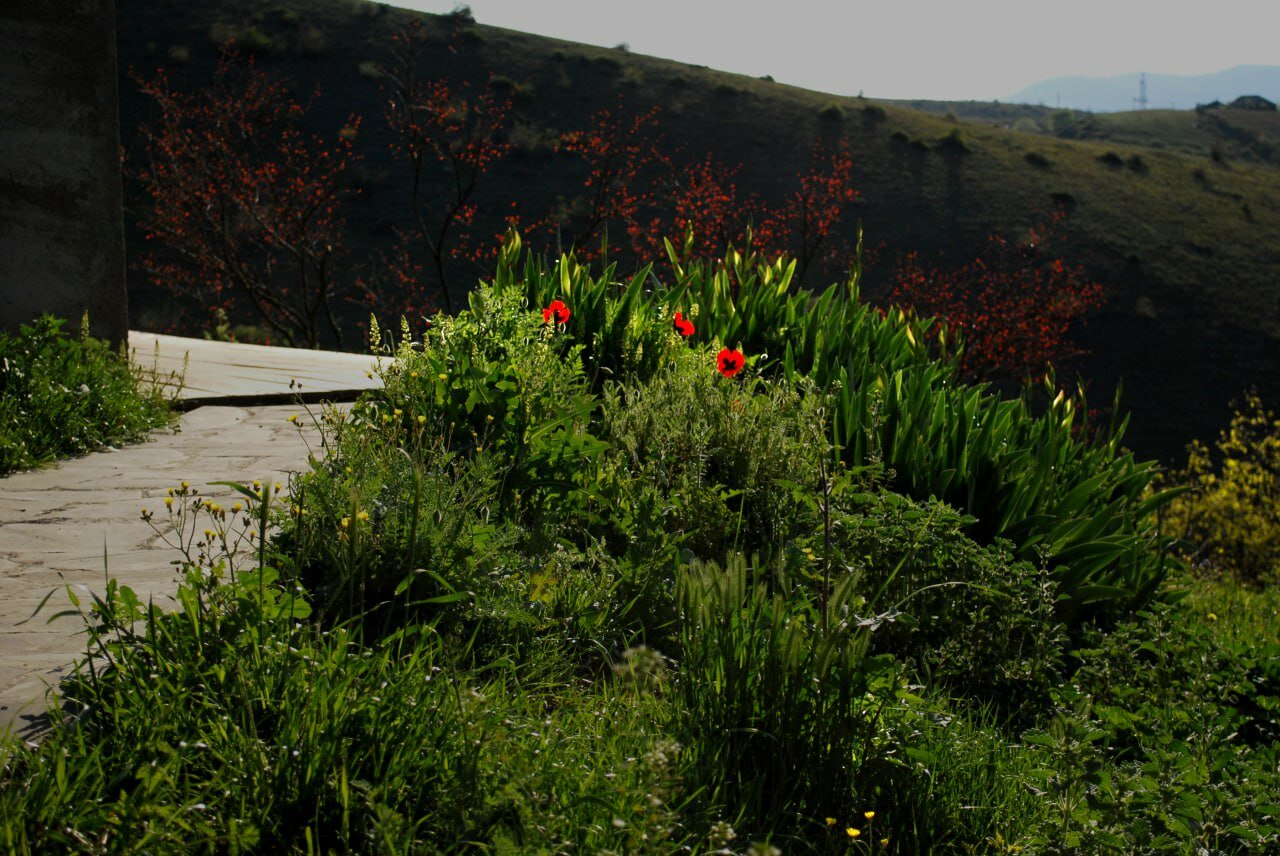 Фото Гостевой дом Кипарис