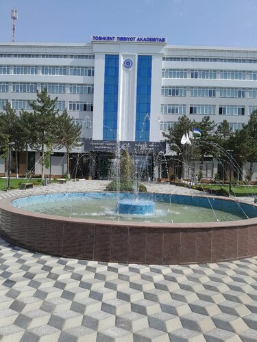 Tezlik boyicha video