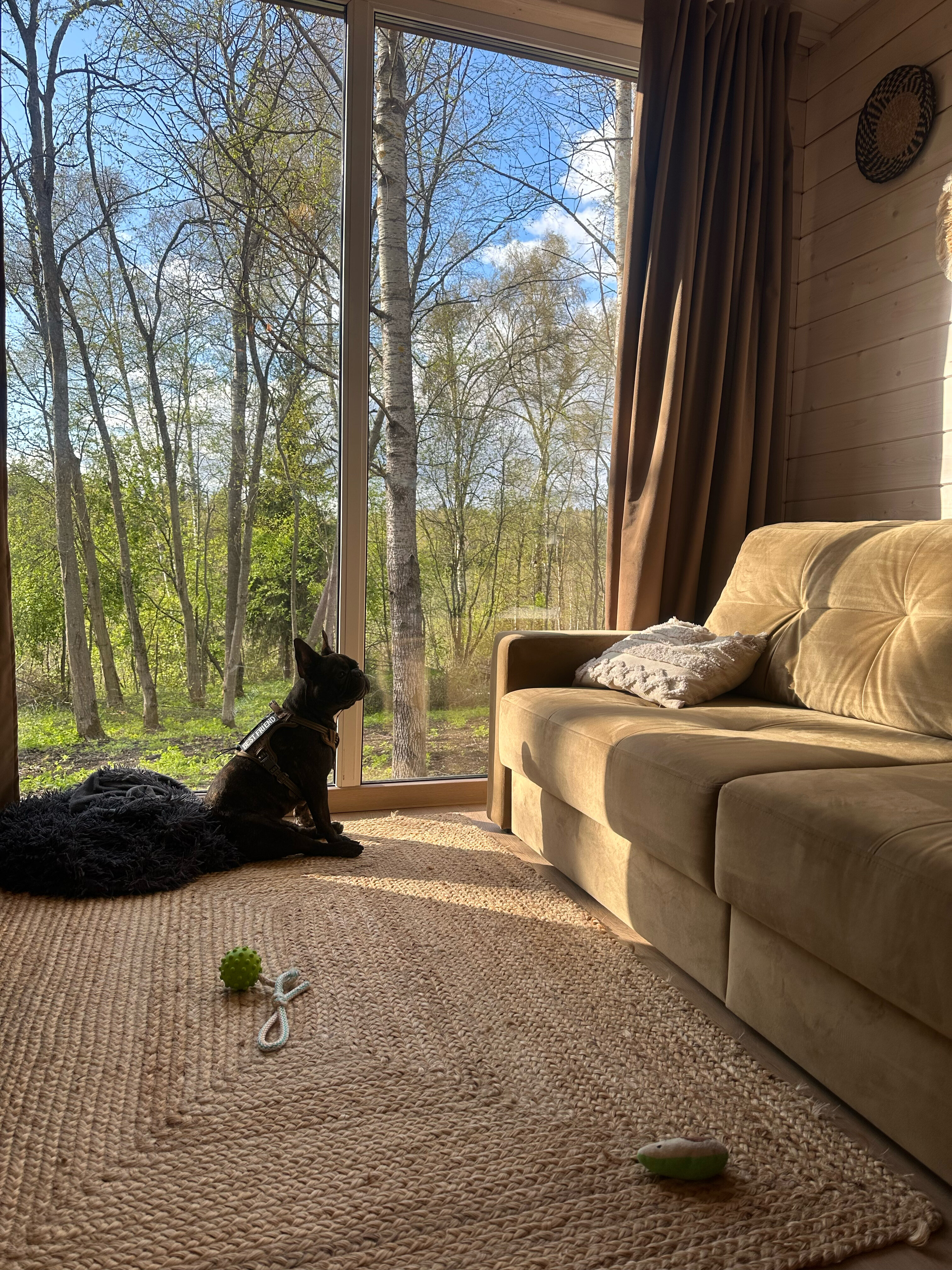 Фото My little forest