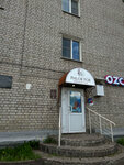Phlox fox (Geroya Ryabtseva Street, 31) ، محل زهور