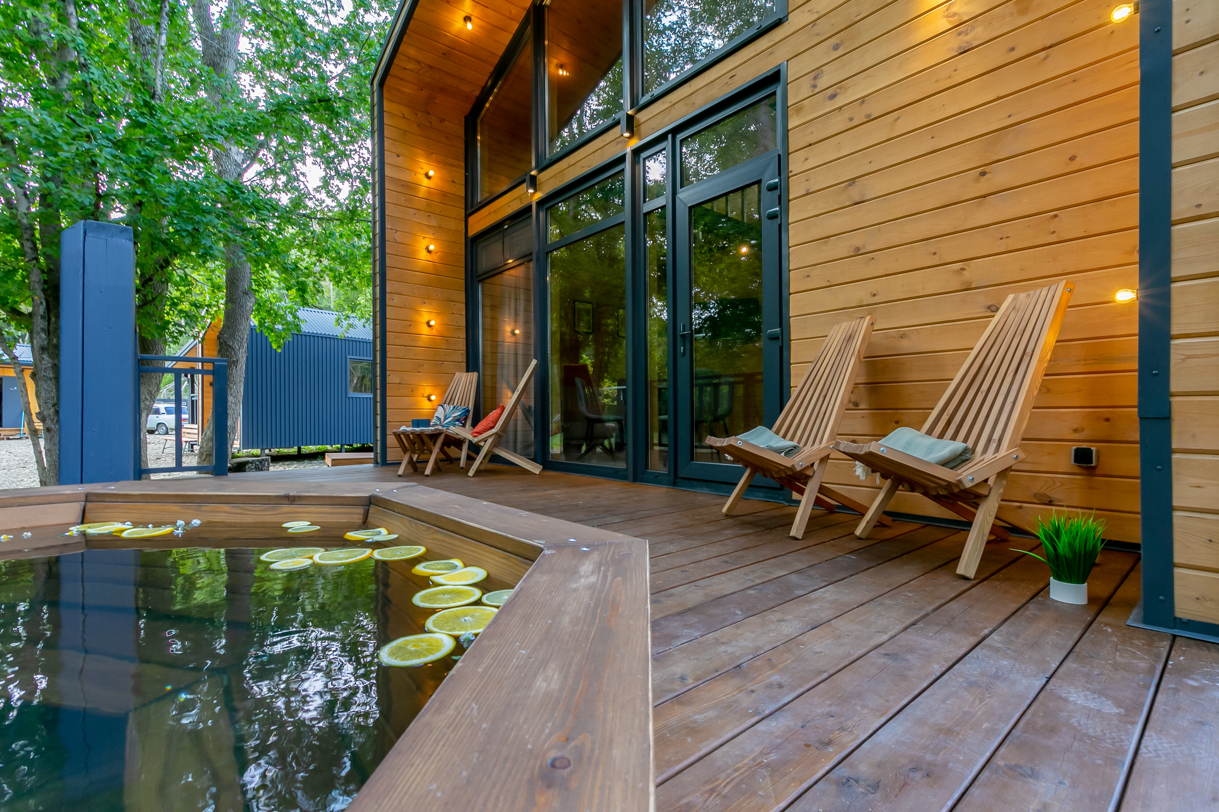 Фото Шелест