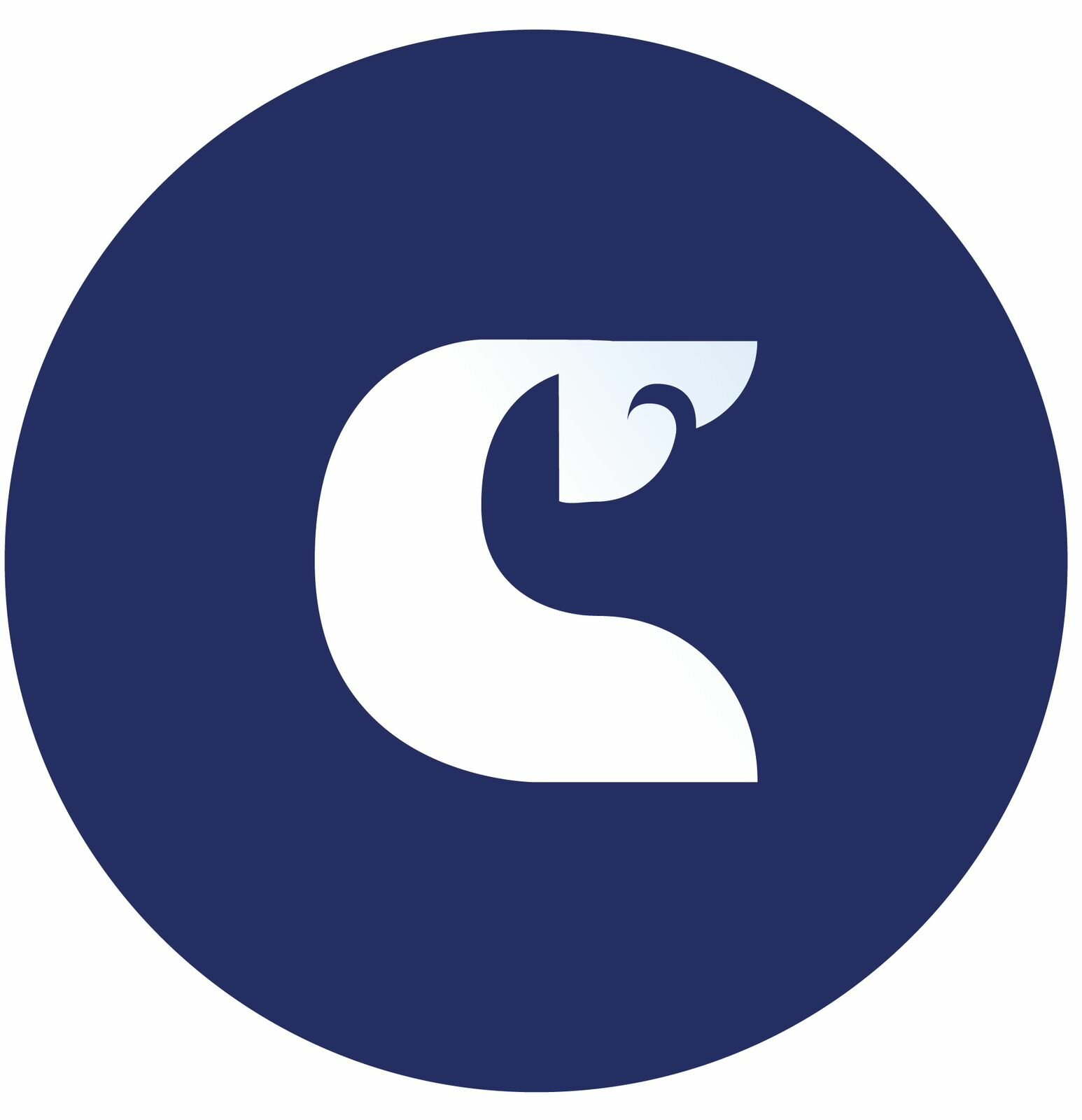 Фото Белый кит