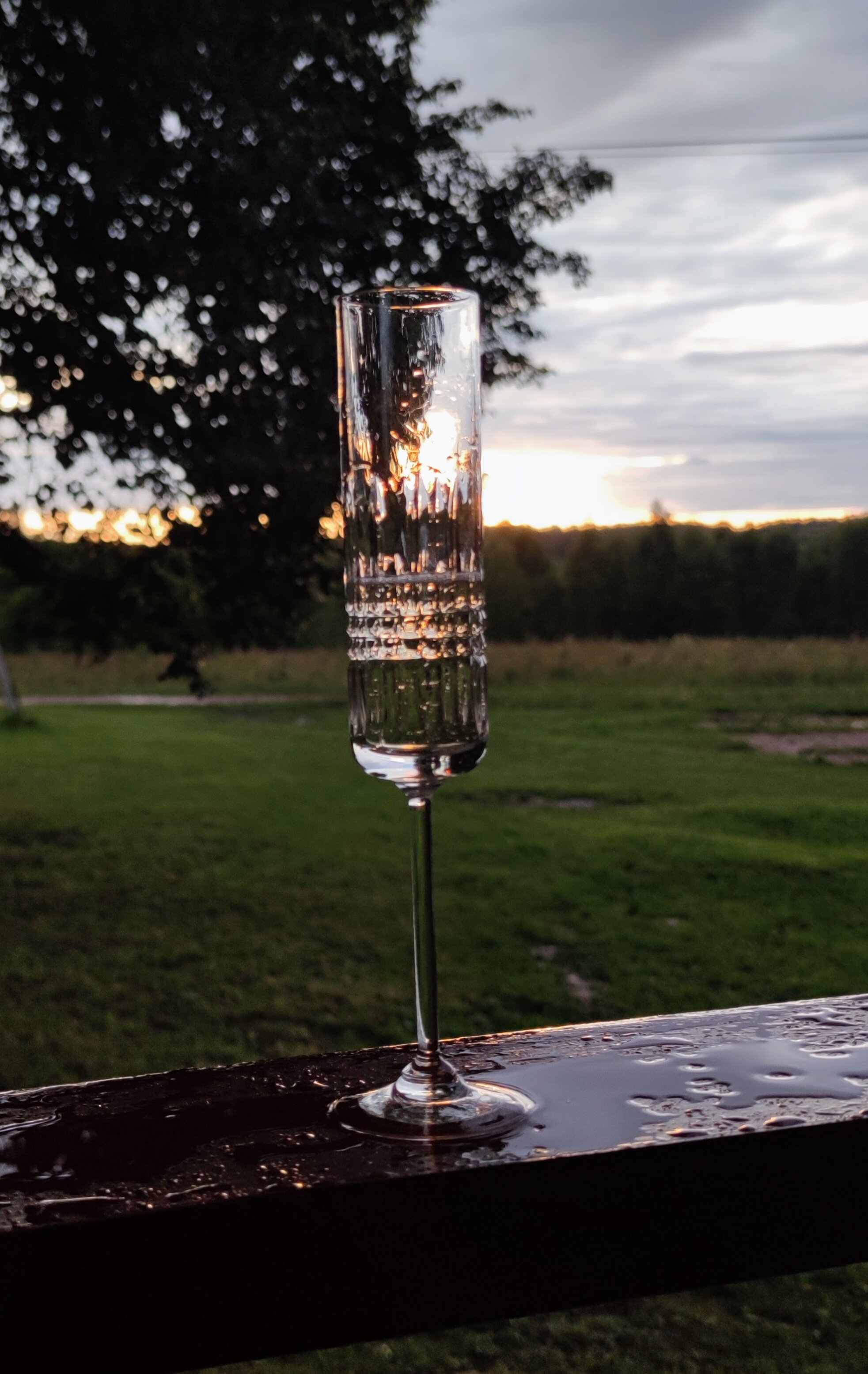 Фото Романовъ home