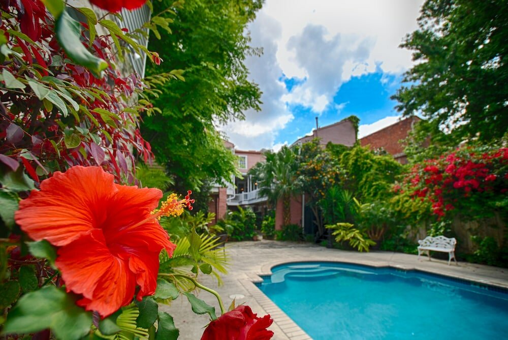 Фото Lamothe House