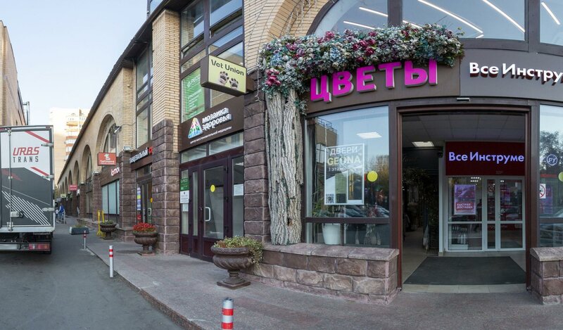 Chodirda ogzaki jinsiy aloqa