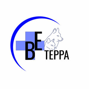 Логотип «ВЕтерра»