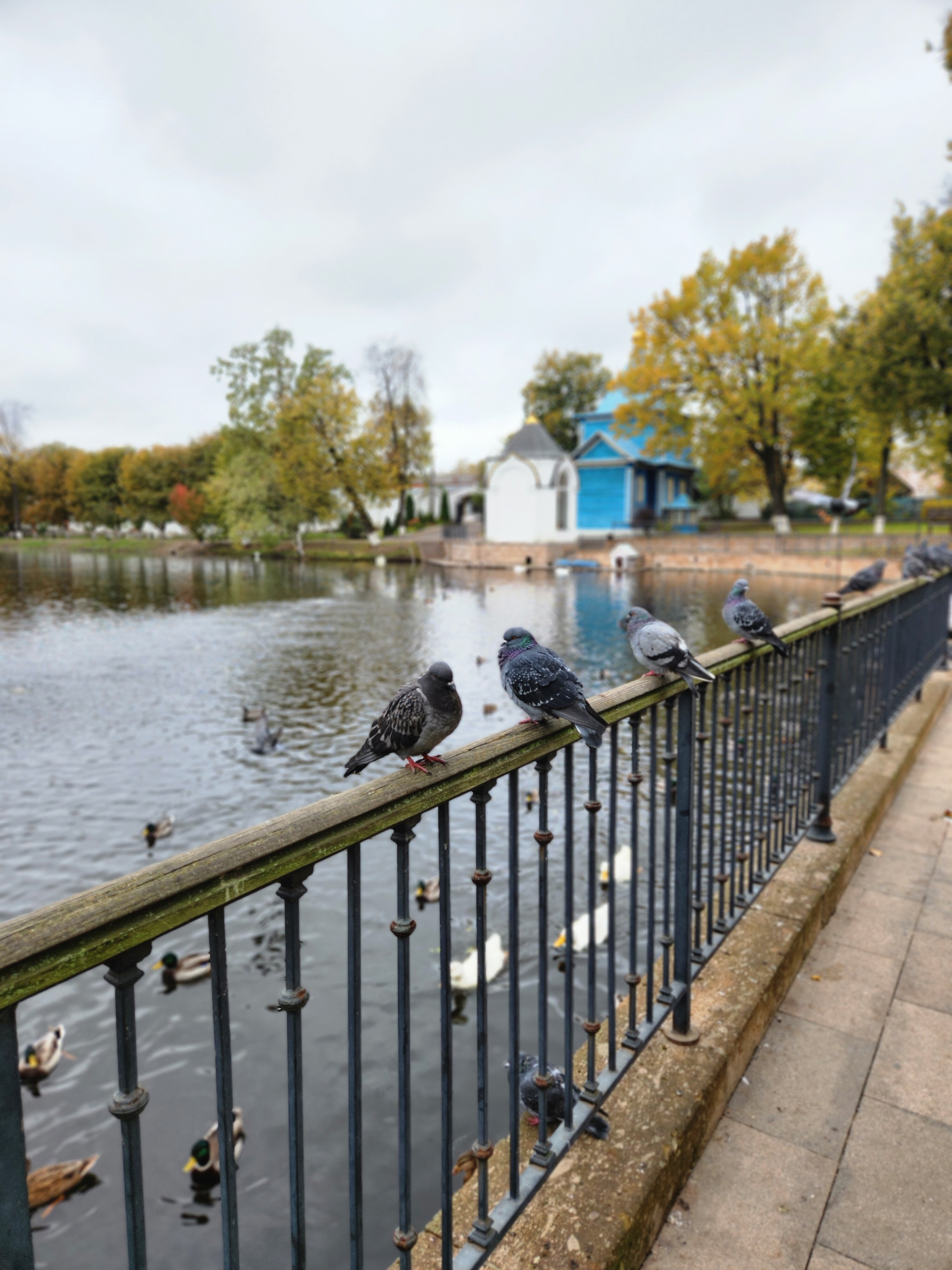 Фото Угреша