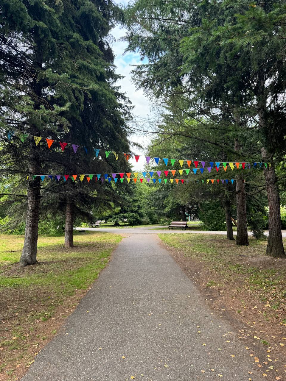 Фото Солнечный