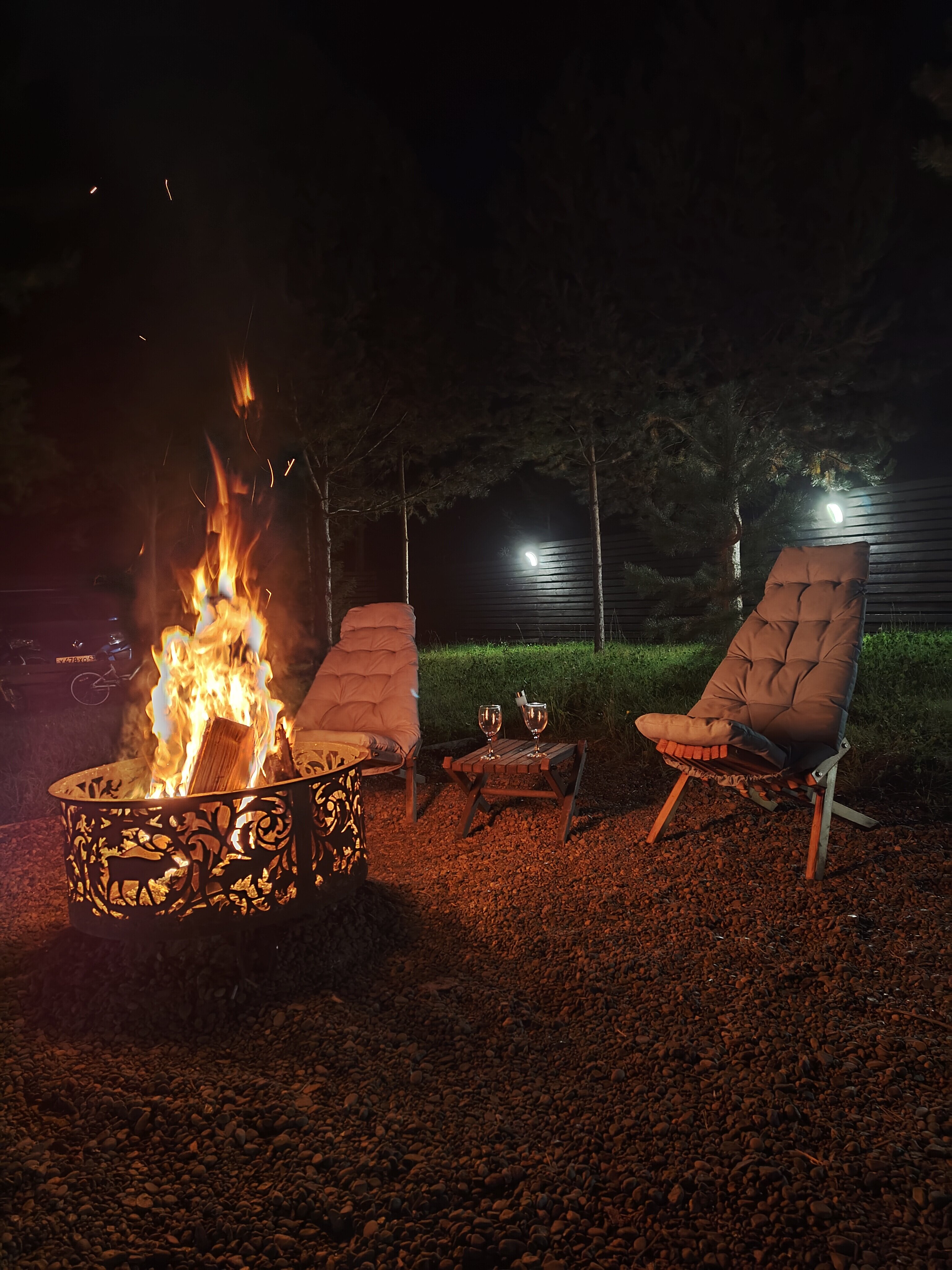 Фото На опушке