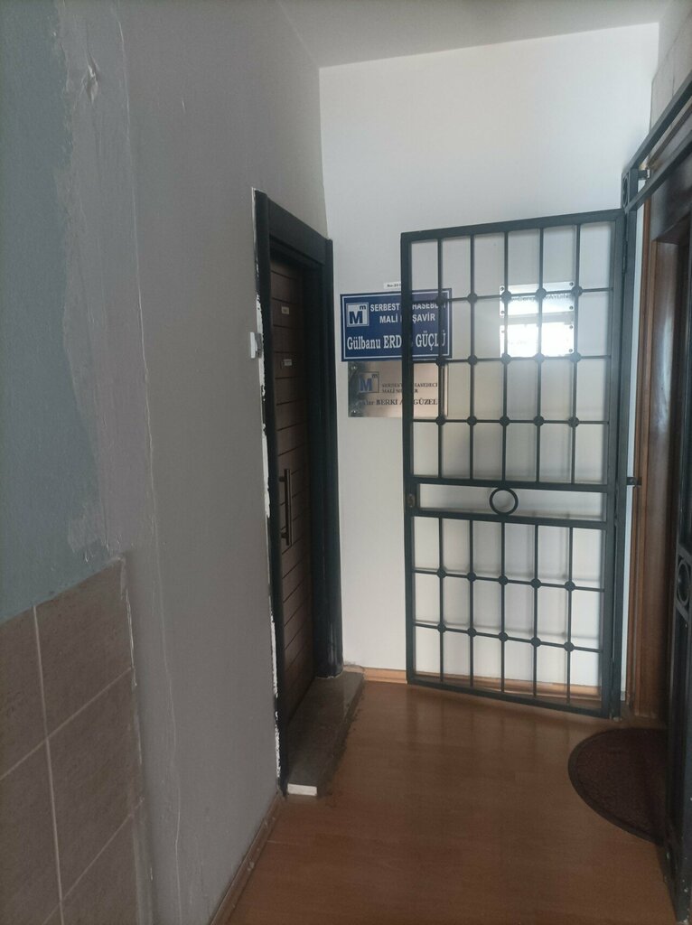 Tax consultants Sidar Berki Adiguzel, Antalya, photo