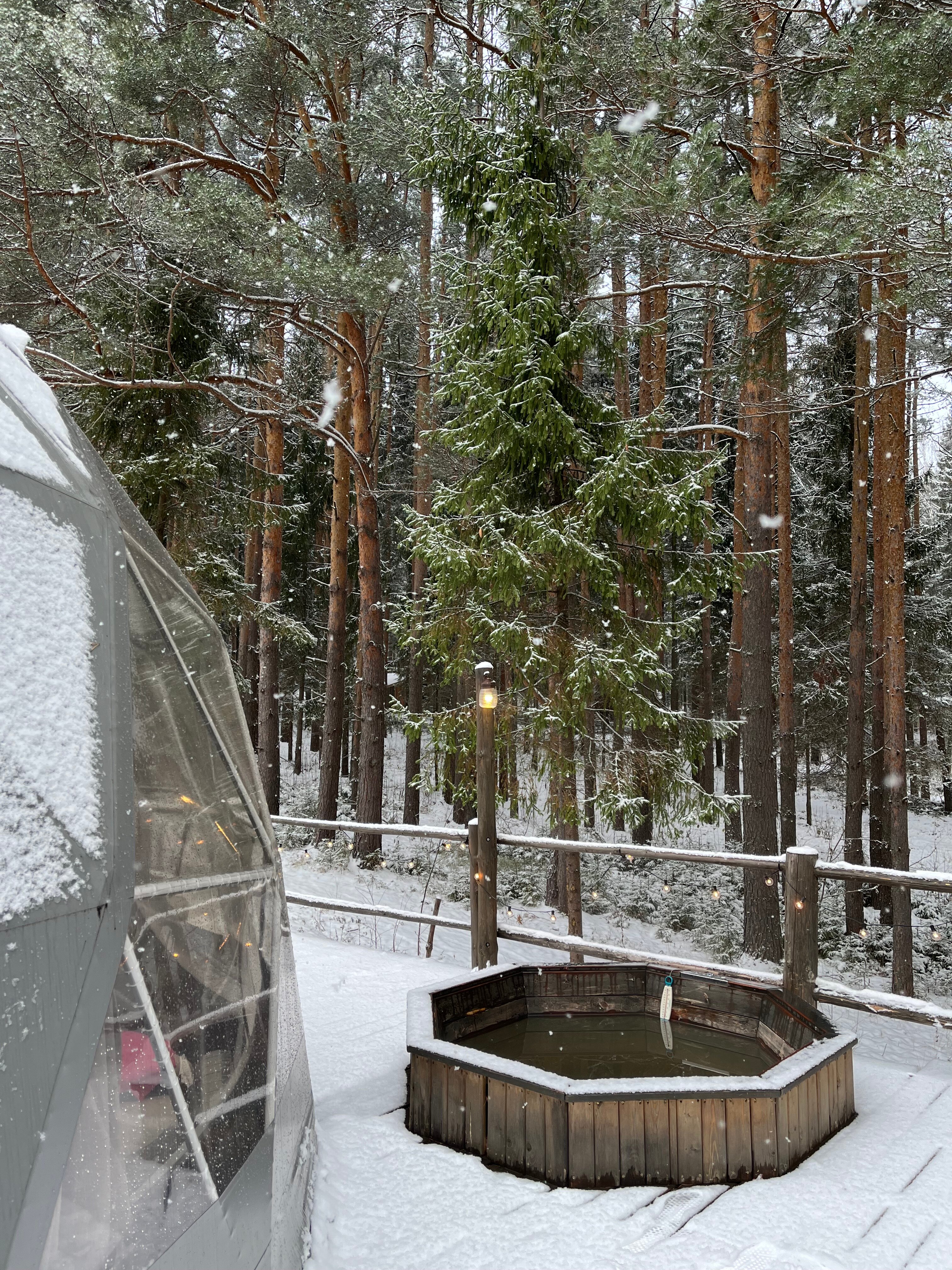 Фото Домики Иволги