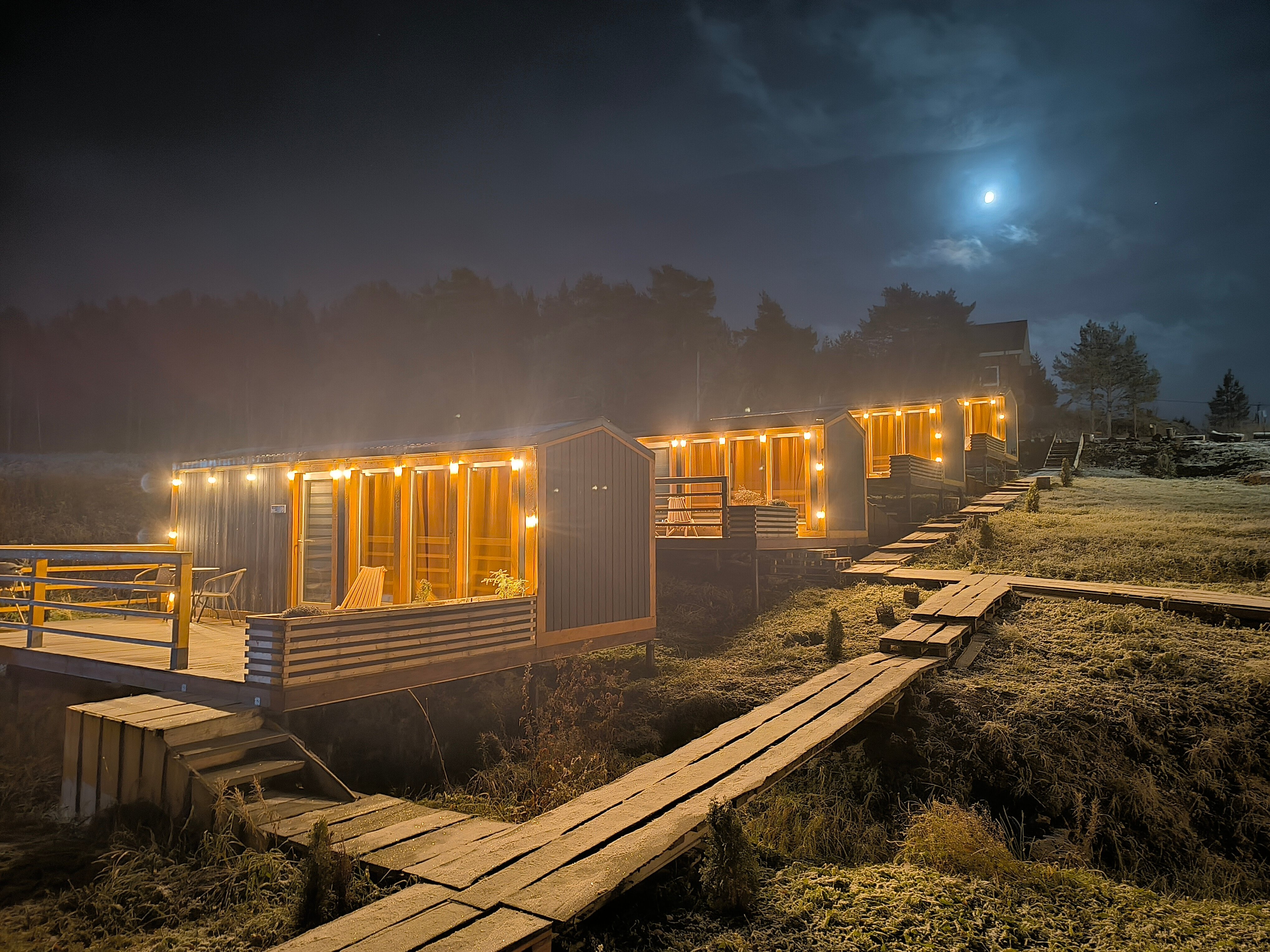 Фото Ёлки-Ладога