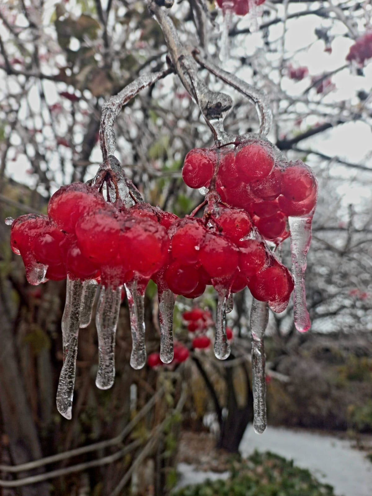 Фото Добрыня
