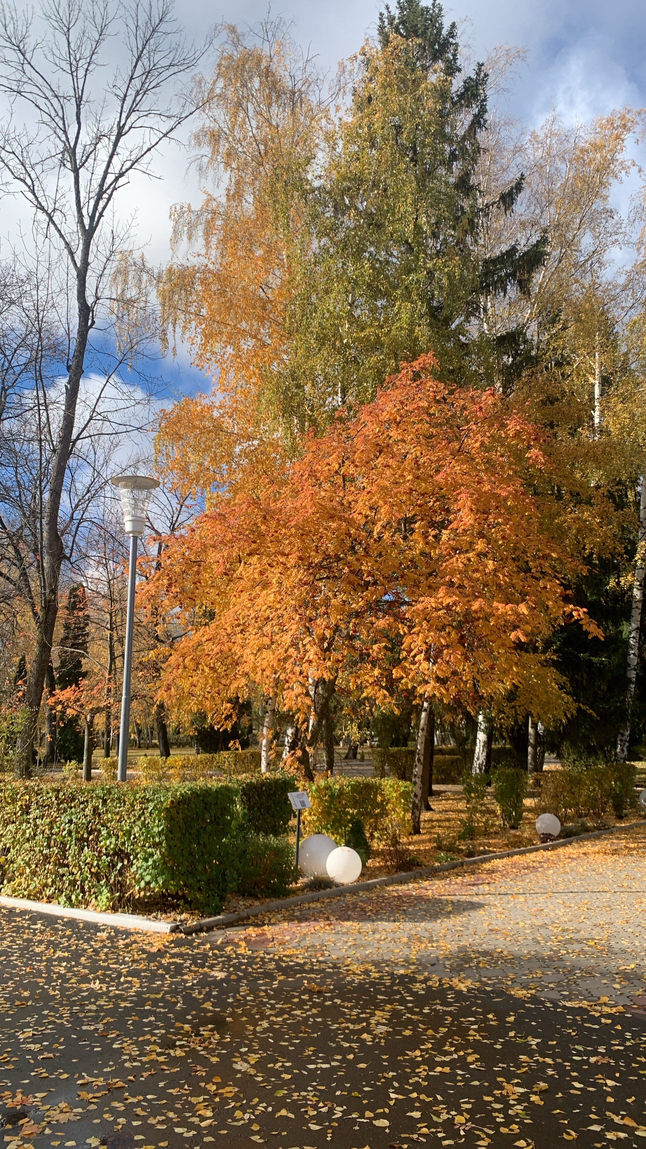 Фото Санаторий им. Ф. Э. Дзержинского