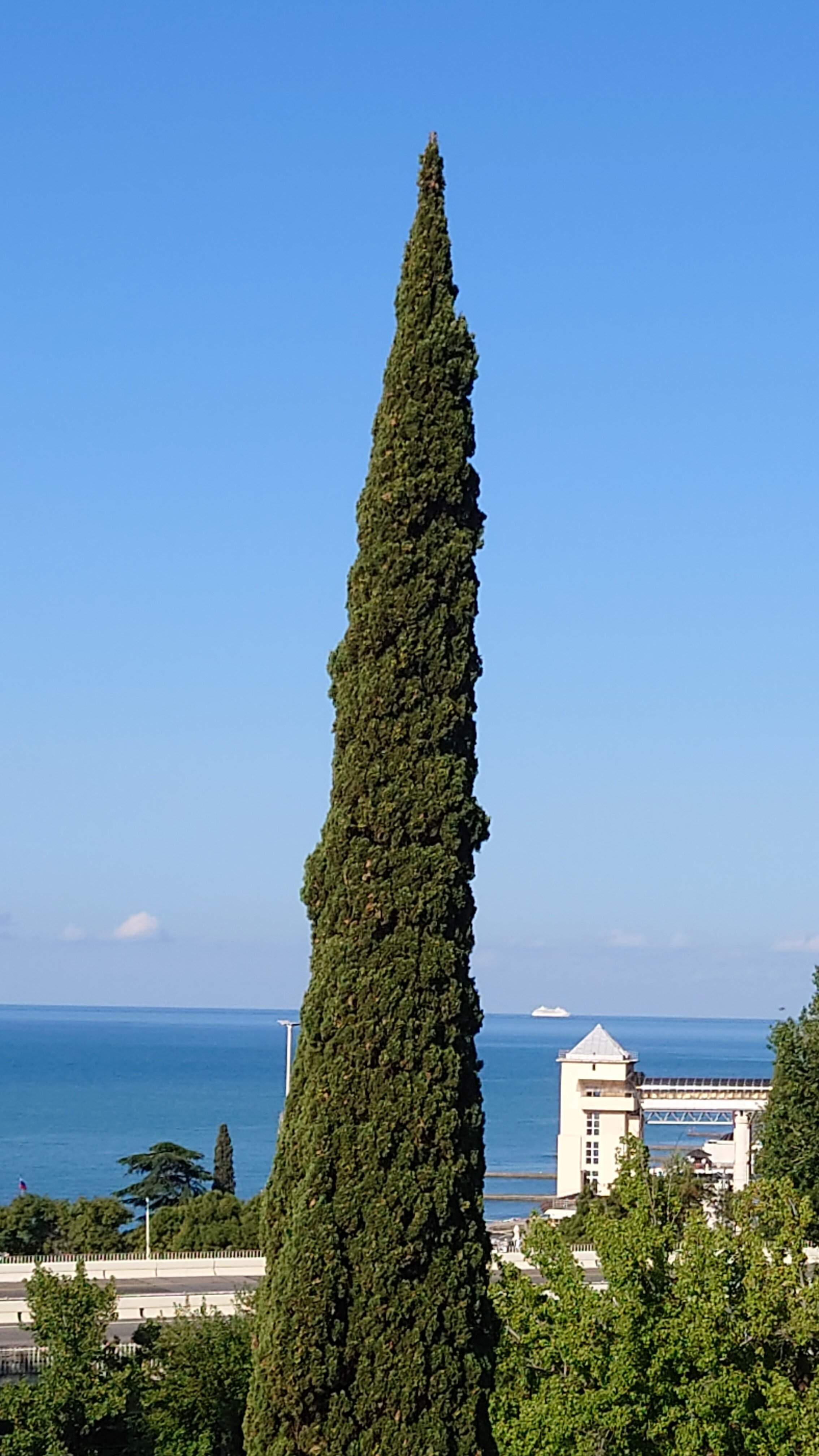 Фото Арт Отель