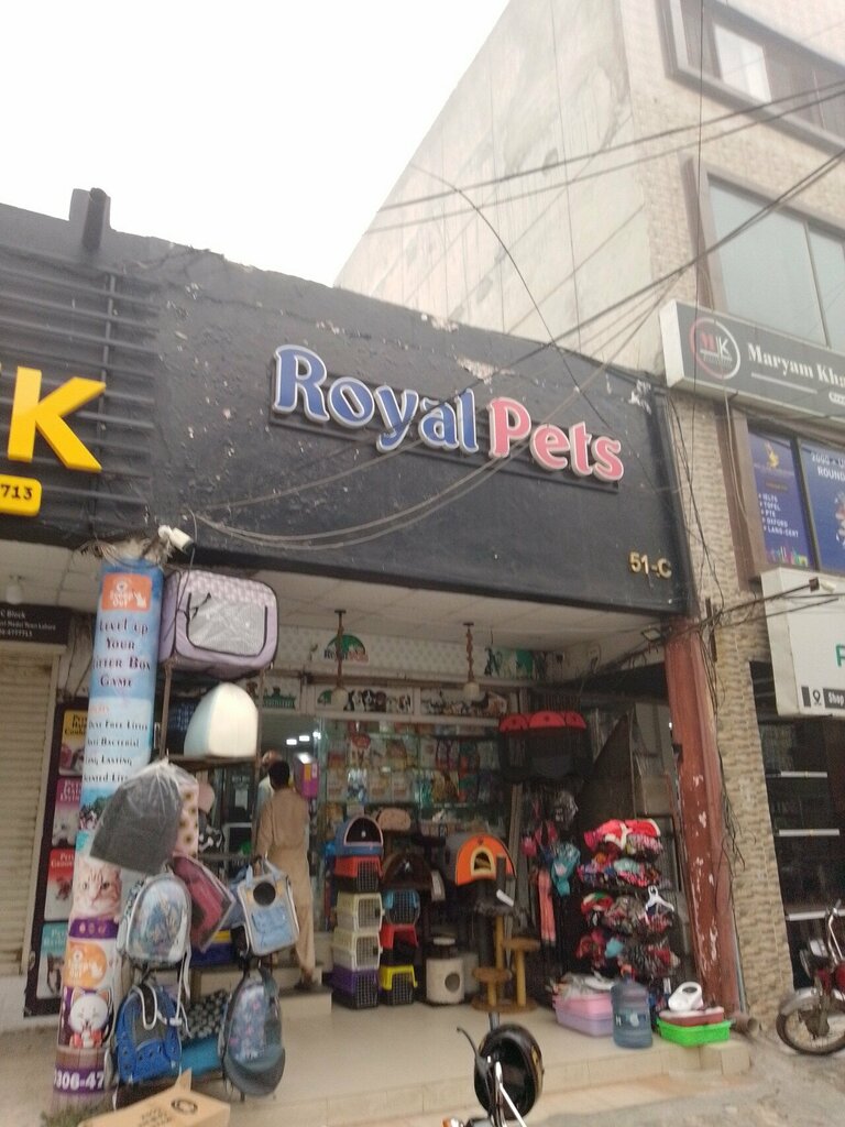 Pet shop Royal pets, Lahore, photo