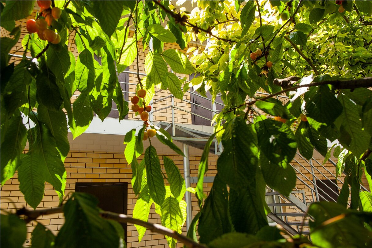 Фото Гостевой дом Тургенева 188