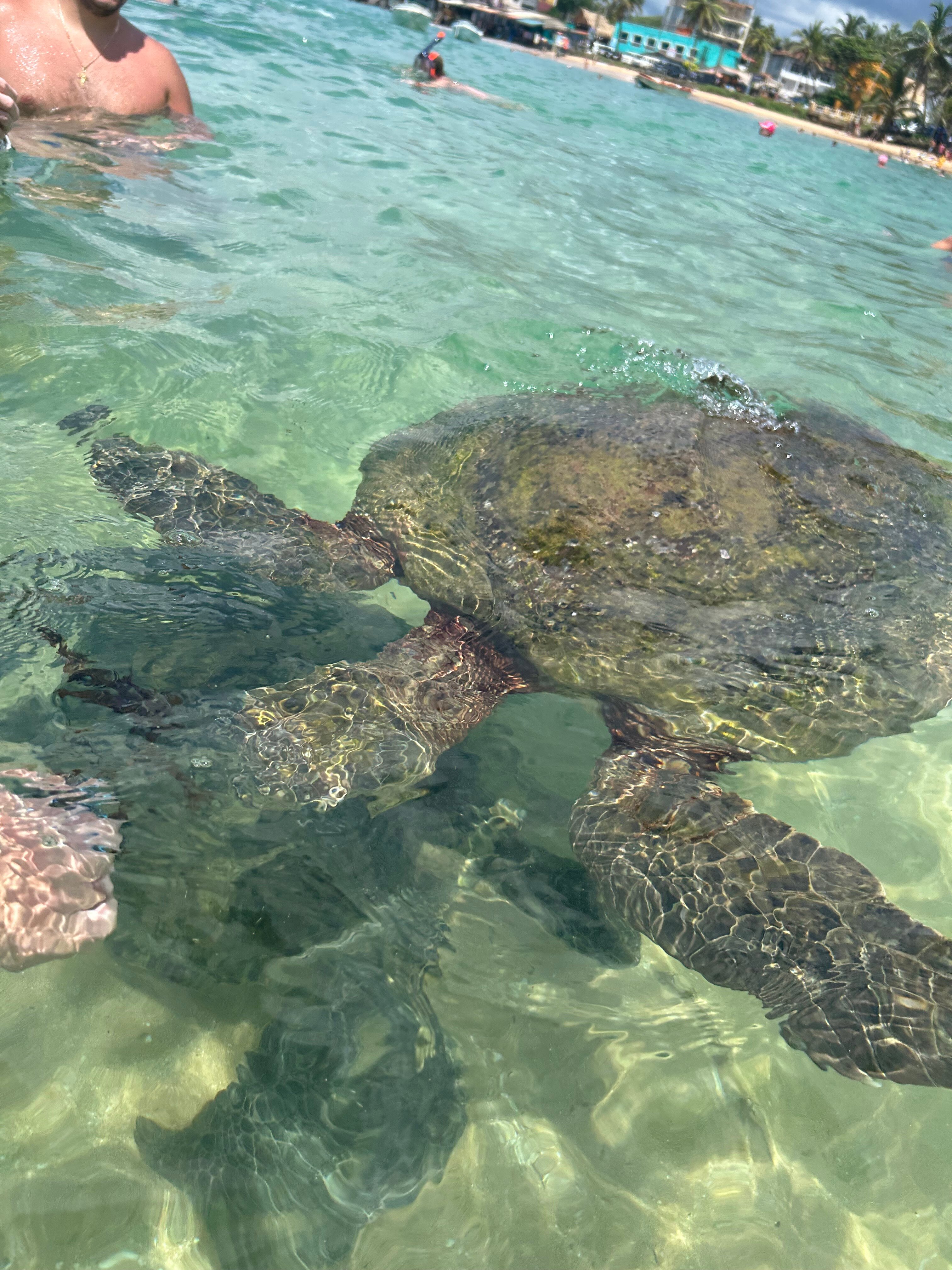 Фото Turyaa Kalutara