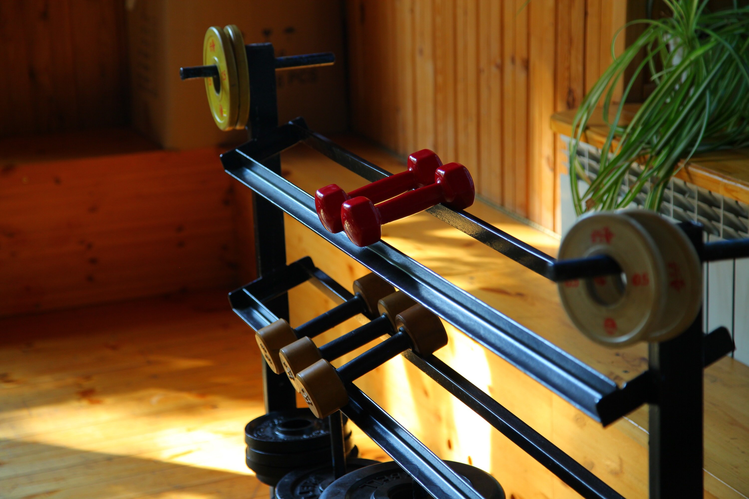 Фото Ателика Улиткино