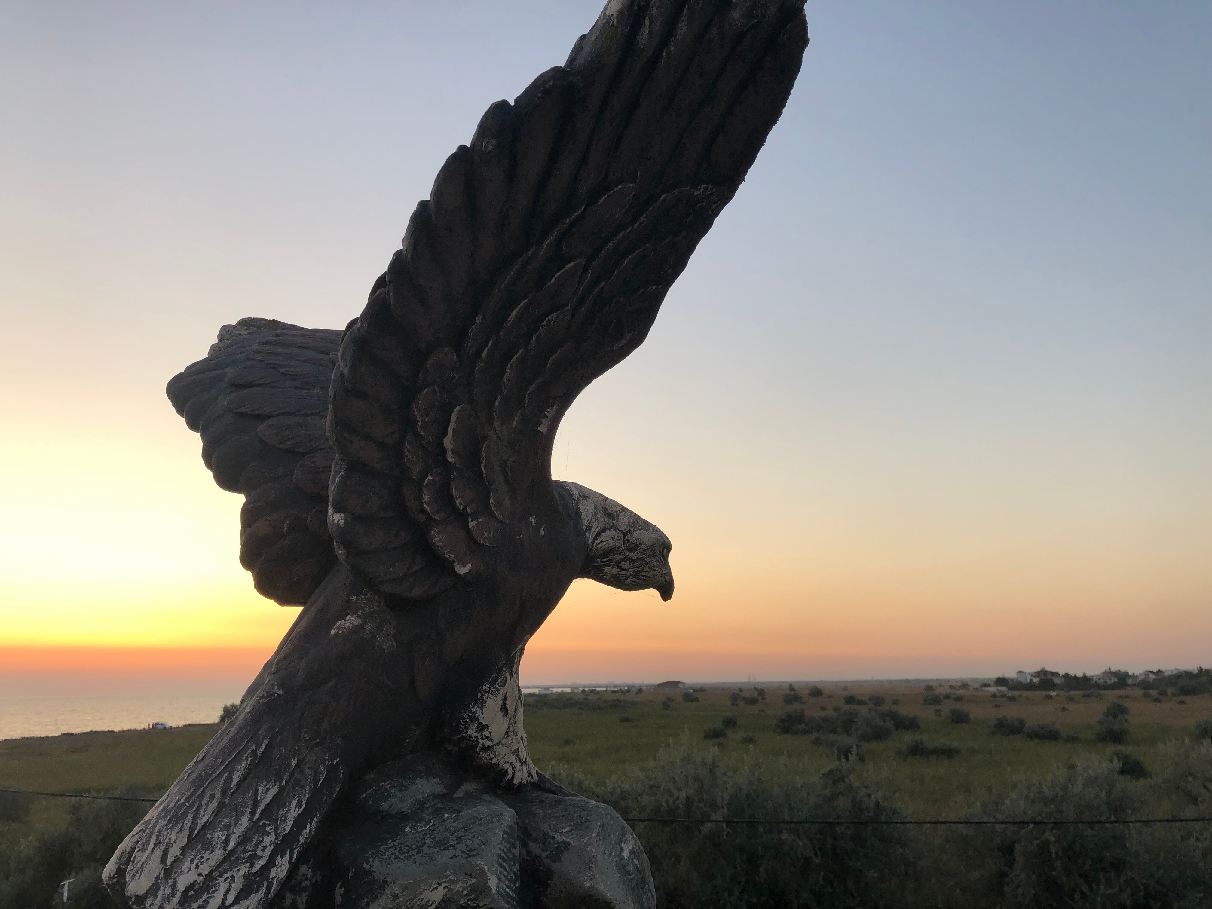 Фото Ультрамарин