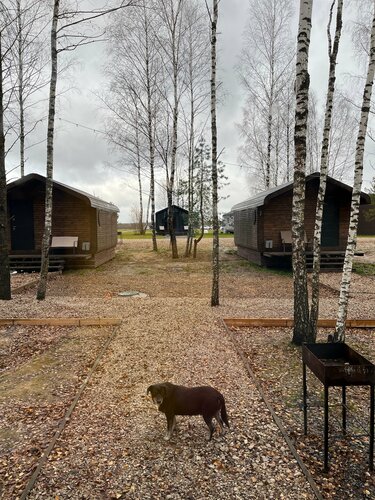 Дом отдыха Михеево Старт в Кондрово