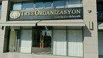 Tree Organization (Antalya, Muratpaşa, Etiler Mah., 826. Sok., 8), organización de eventos