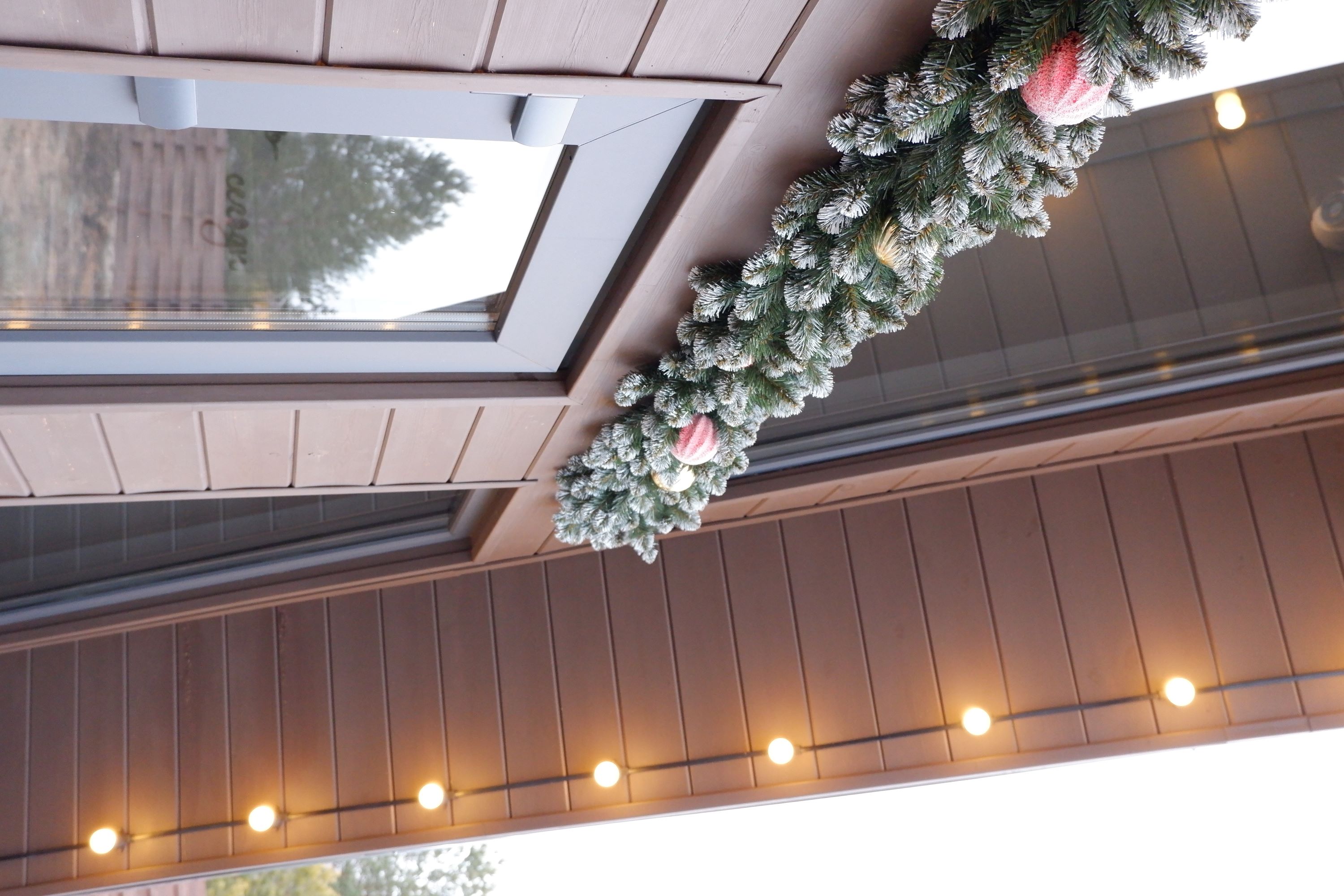 Фото Дубовая роща