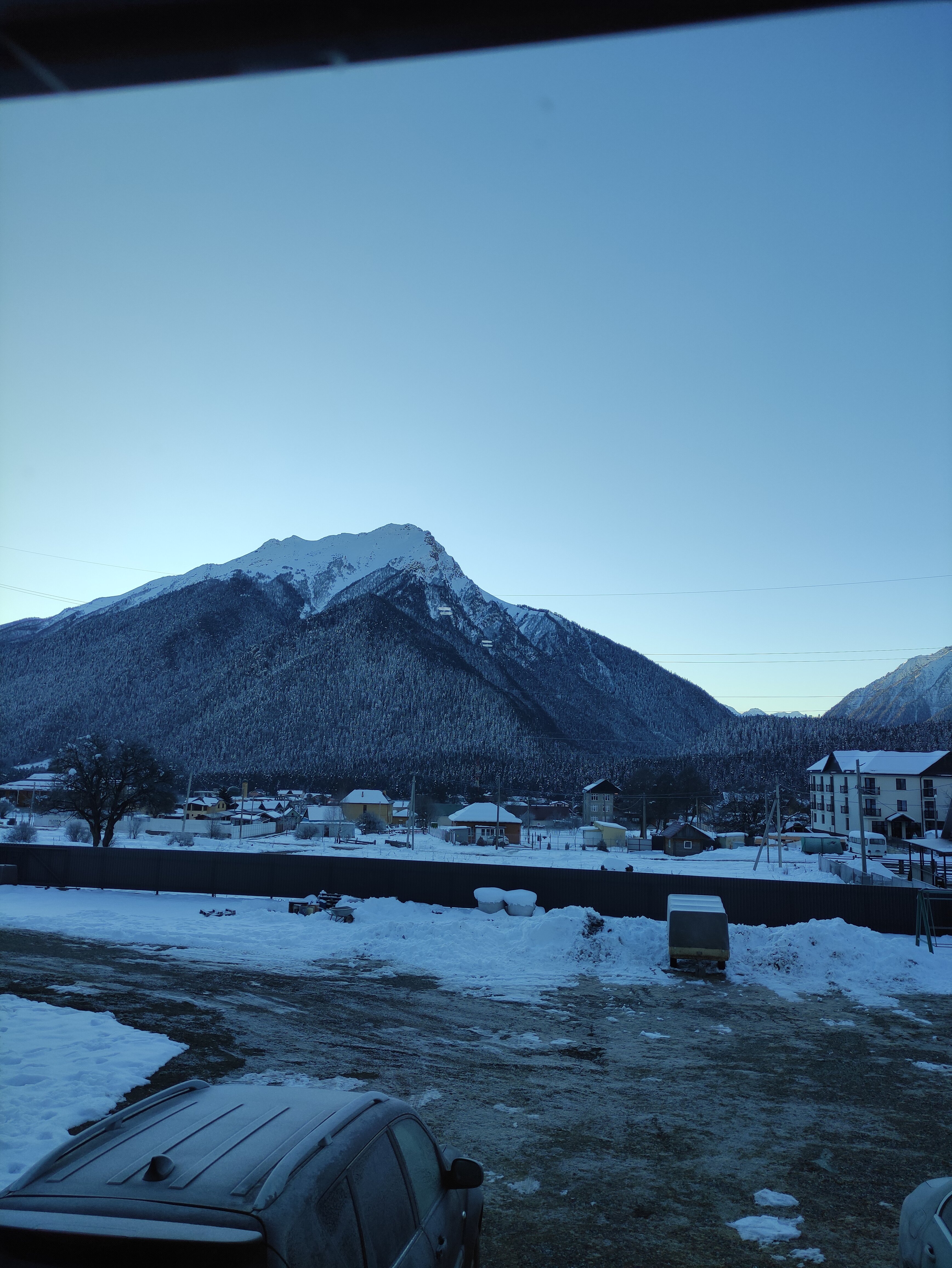 Фото Феникс