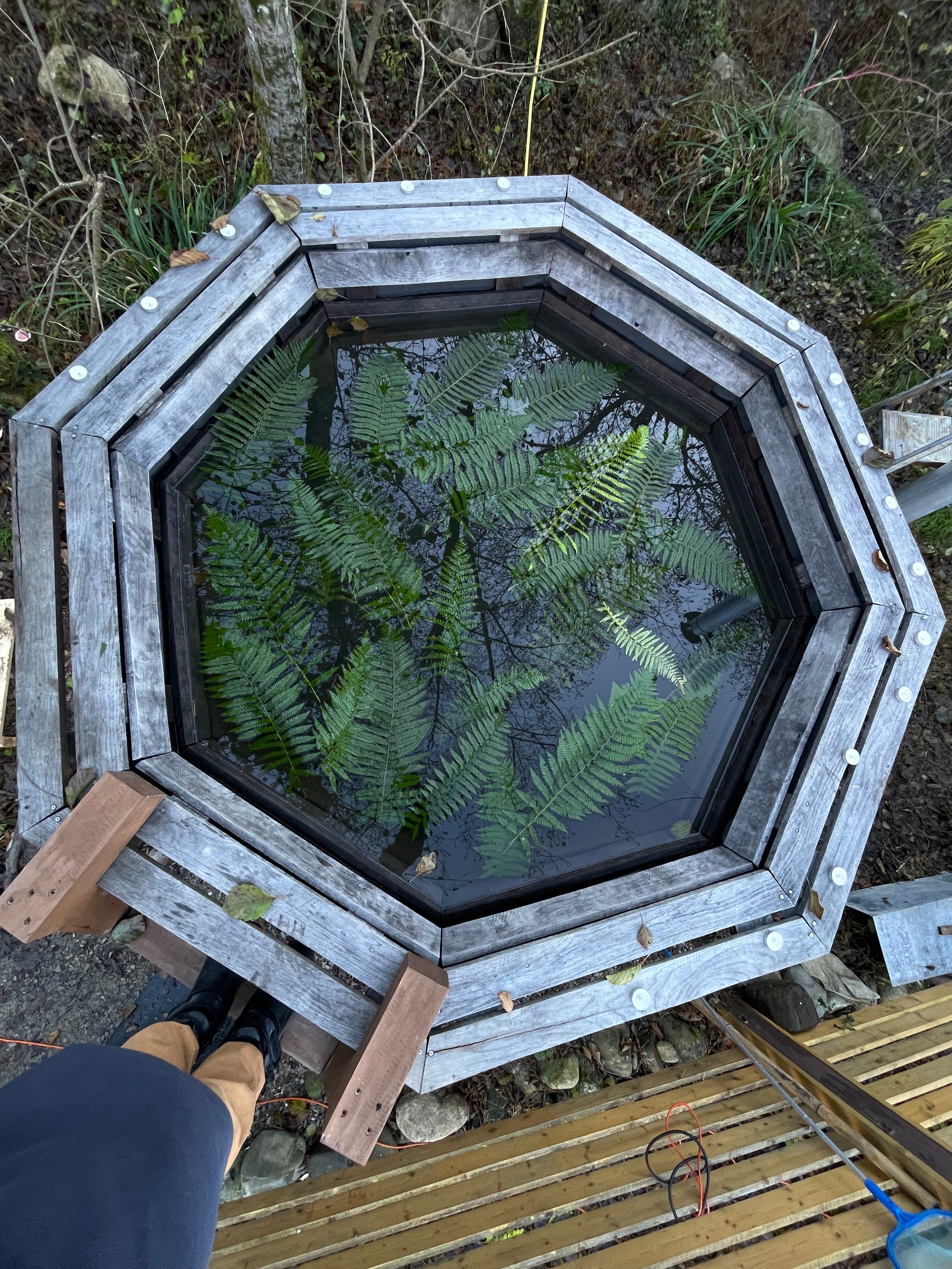 Фото Южный Вайб Древо