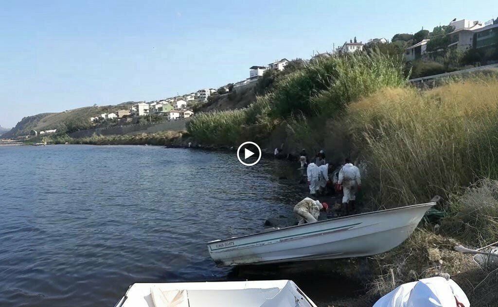 Beach Club Palm Beach, Foca, photo