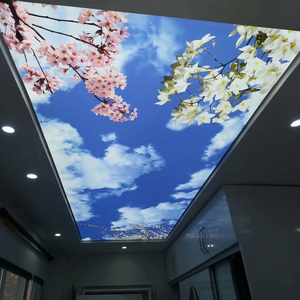 Interior design Gergimax Samsun Gergi Tavan, Samsun, photo