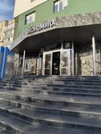 Бухгалтерские услуги (Tamanskaya ulitsa, 26В), accountants