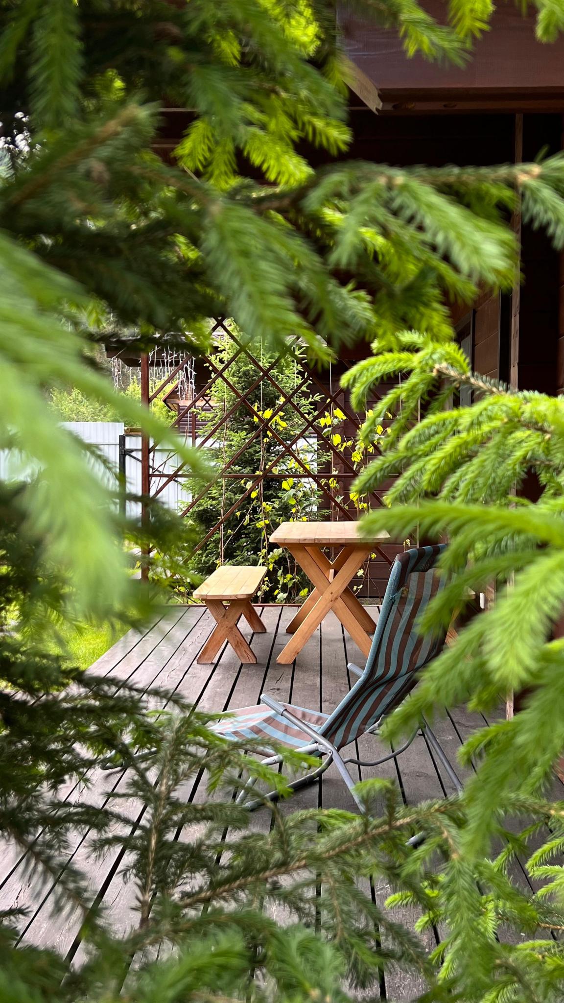 Фото Медведь и Ягодка