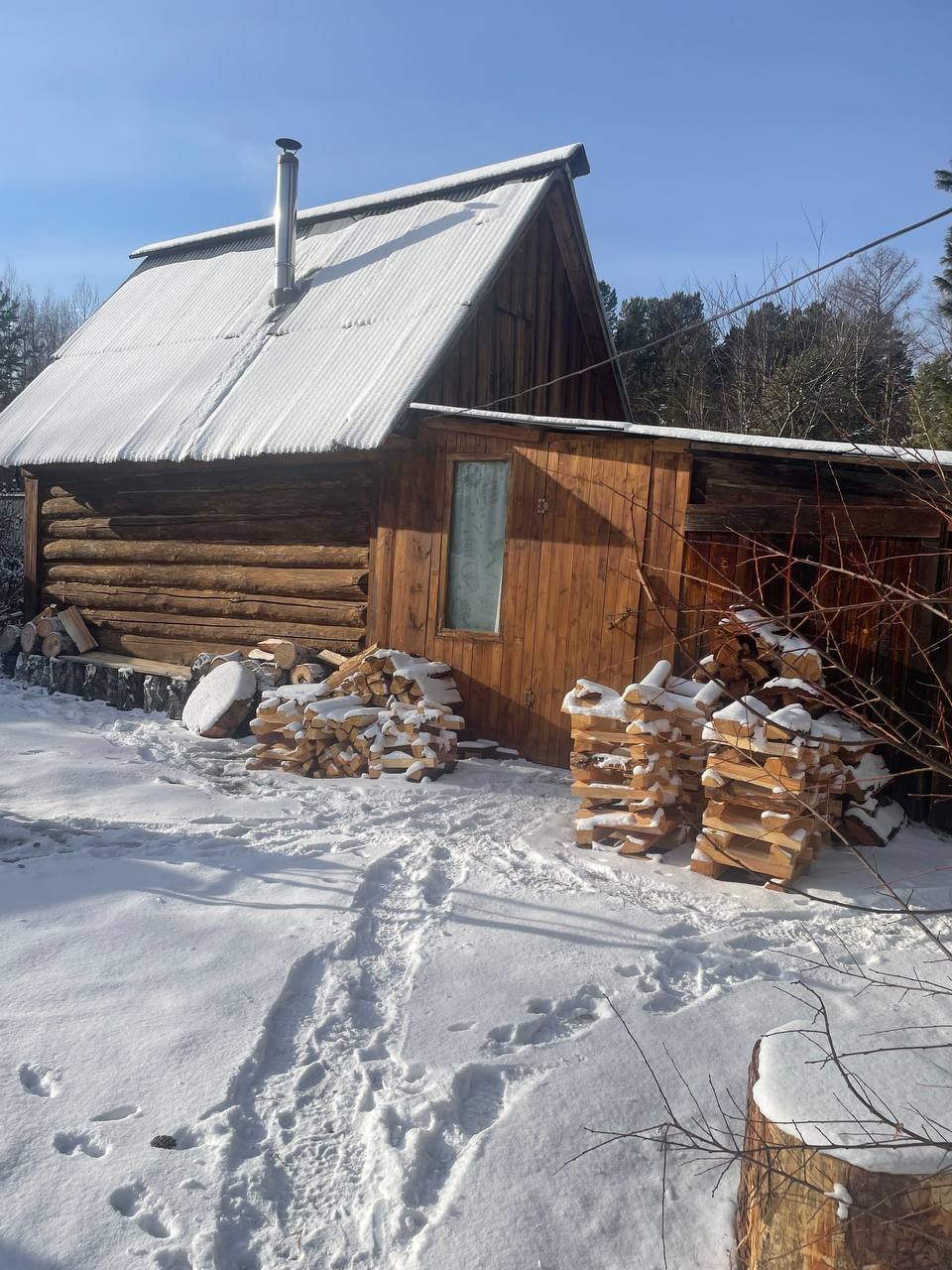 Фото Семья сквозь века