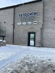 Auto City (ulitsa Tolstogo, 131/3), tienda de repuestos y artículos para automóviles