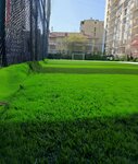 Seymen Carpet Field (İstanbul, Esenler, Birlik Mah., 854. Sok., 8), sports ground