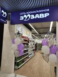 Зоозавр (ulitsa Uritskogo, 7), tienda de animales