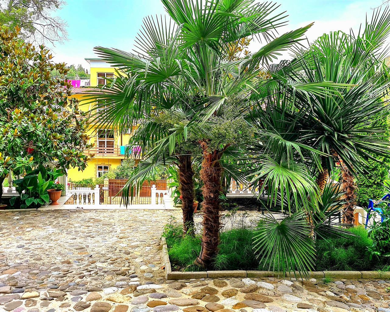 Фото Русская Сказка