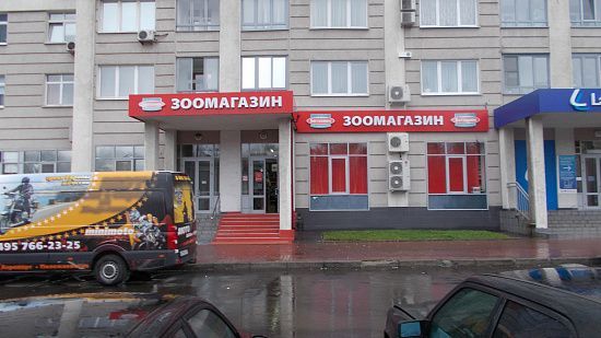 Бетховен - фото 1