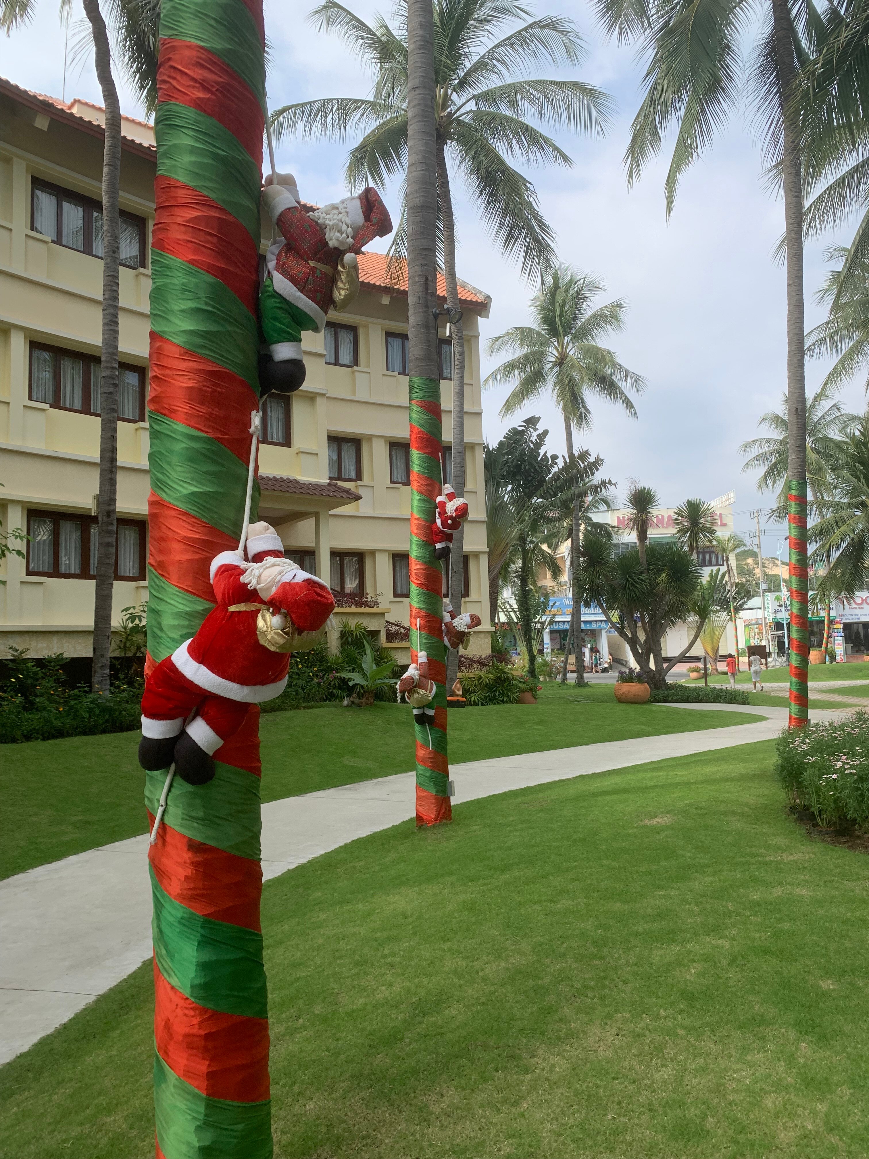 Фото Terracotta Resort & SPA