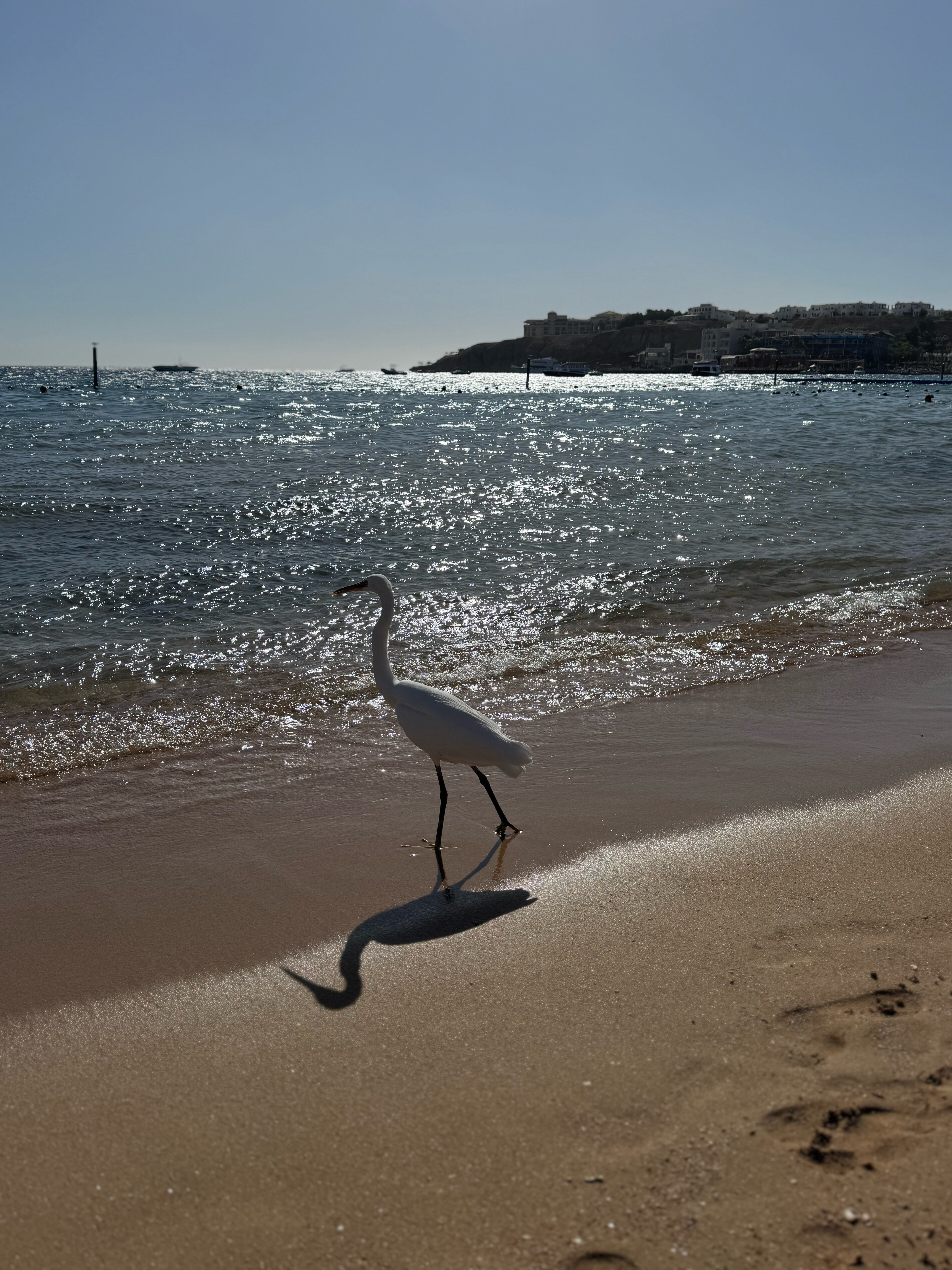 Фото Lido Sharm Hotel