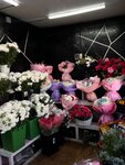 Azaliya (D. Qonaev köşesı, 55), floristeria