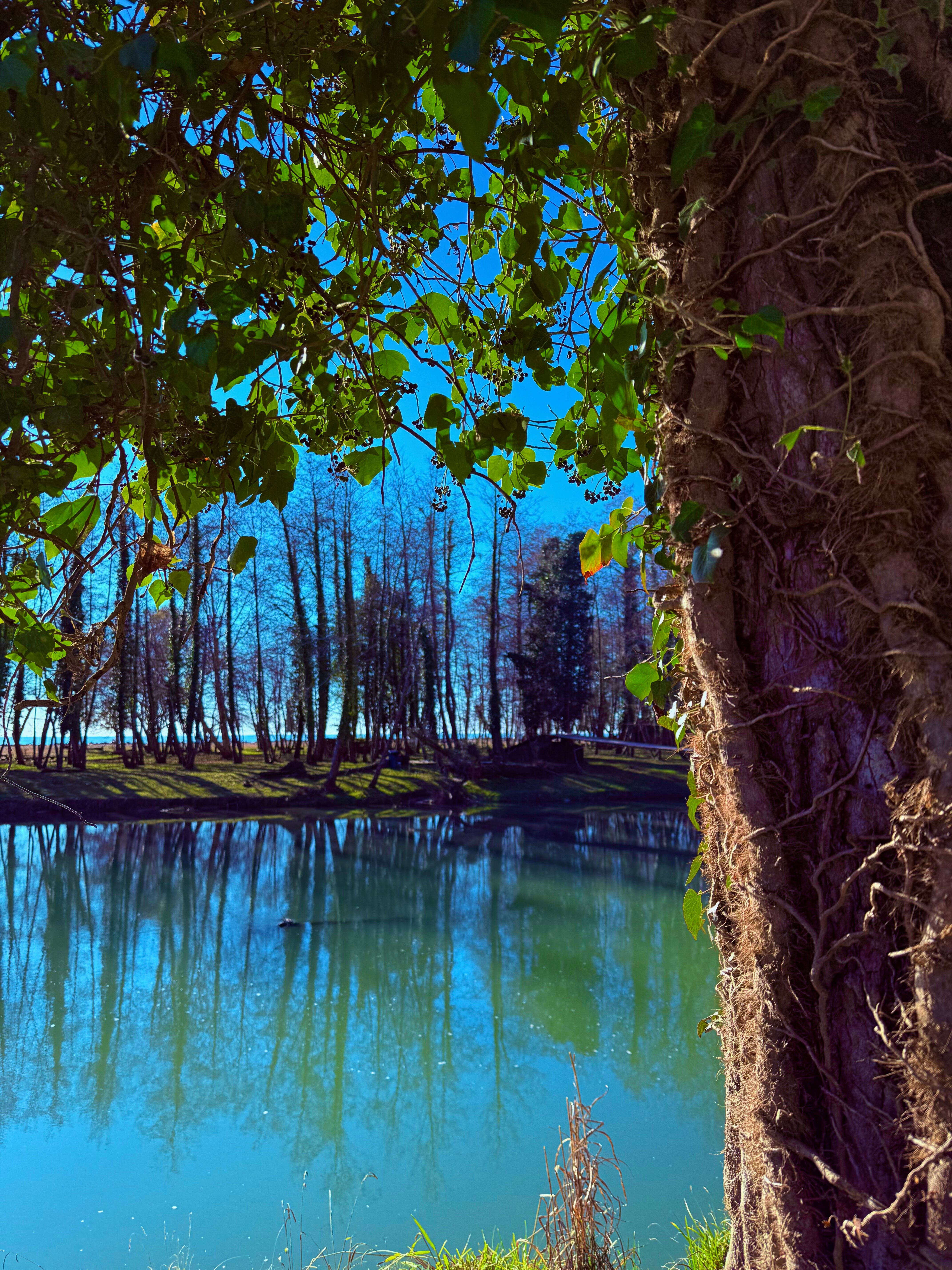 Фото КрутоТут