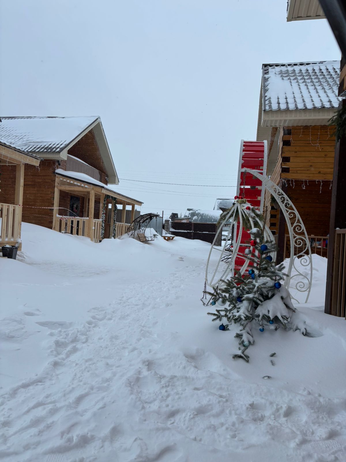 Фото Медвежья поляна